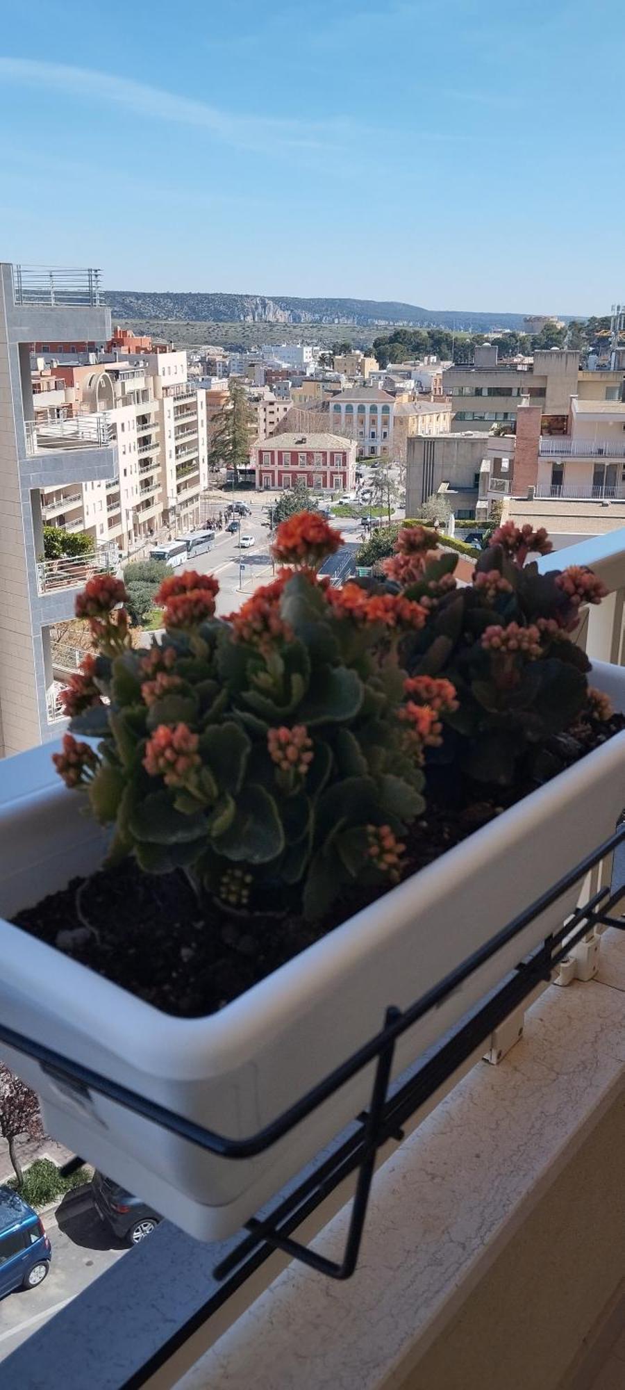 My Home Matera Extérieur photo